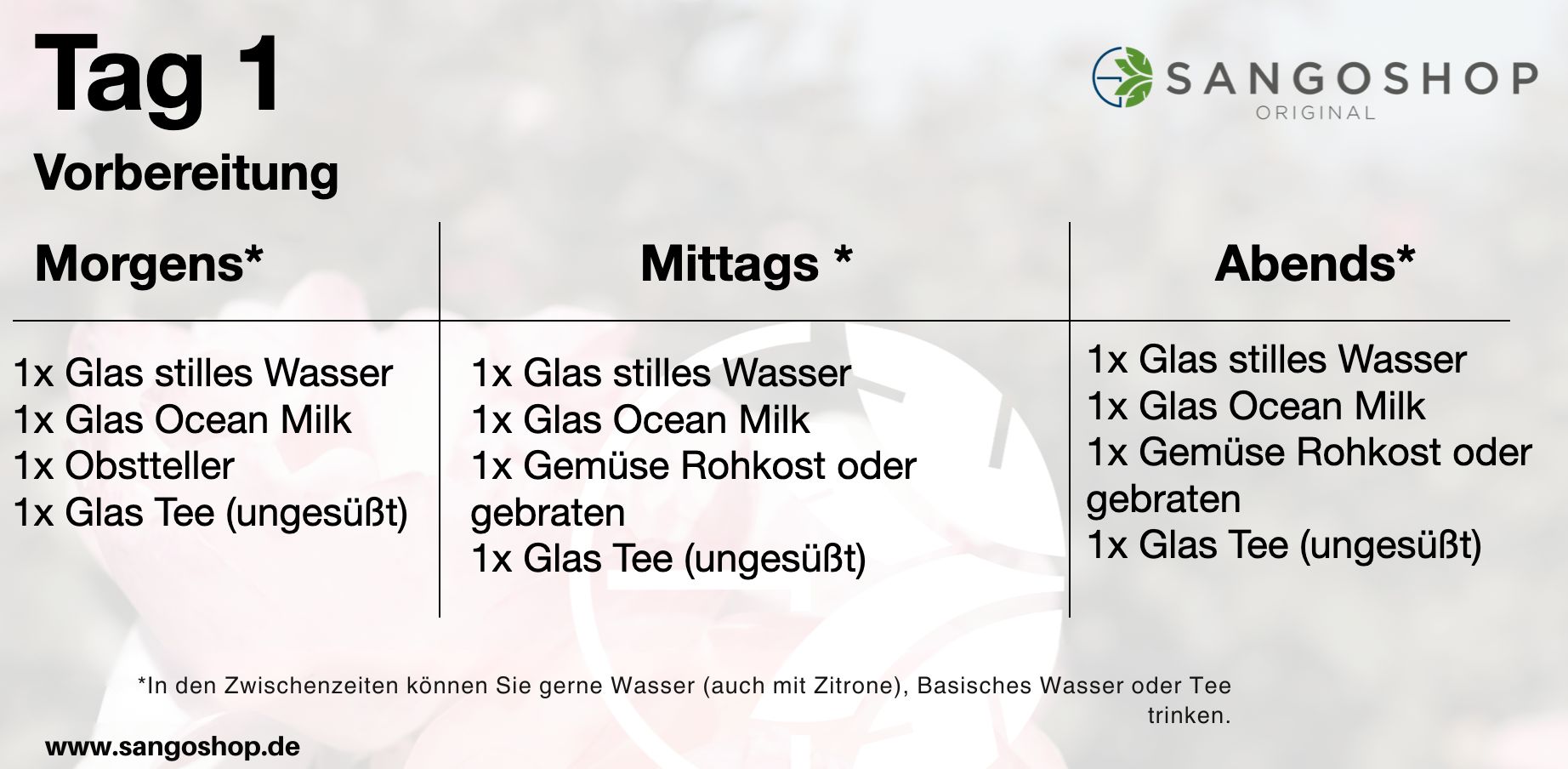 Abnehmen-und-Fasten-Programm-fuer-Senioren