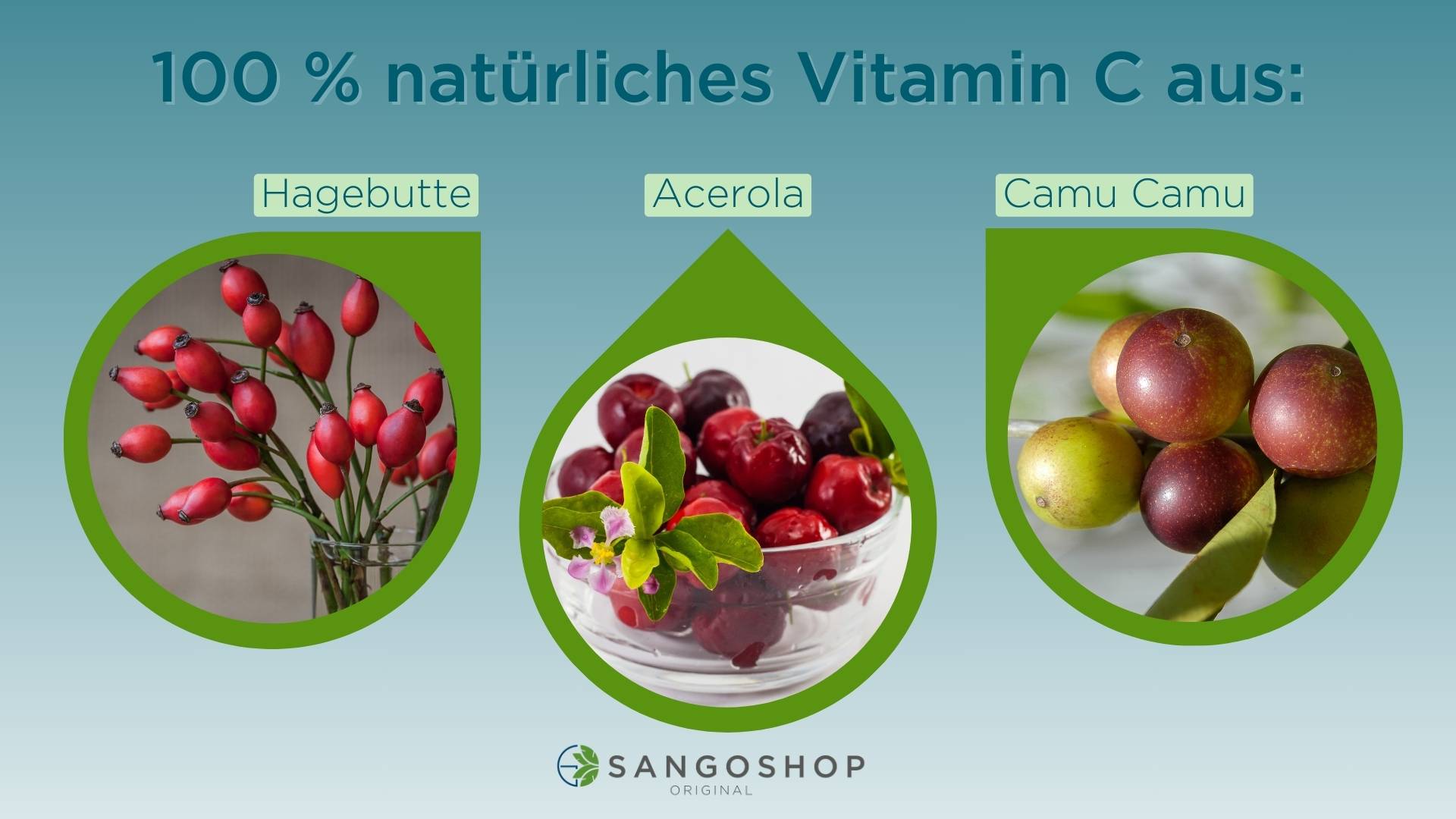 naturliches-Vitamin-C-aus-Hagebutte-Acerola-und-Camu-Camu