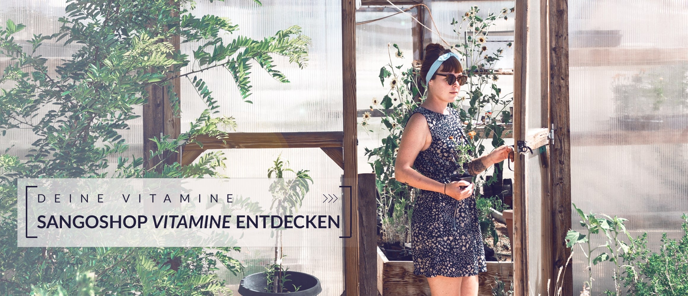 vitamin-d3-sonnenvitamin-in-kombination-mit-vitamin-k2-mk7-menachinon-kaufen-und-einnehmen